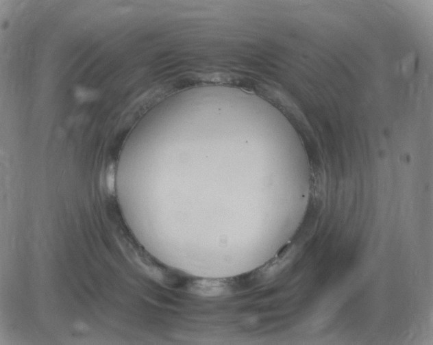 X0000083010095200702231823