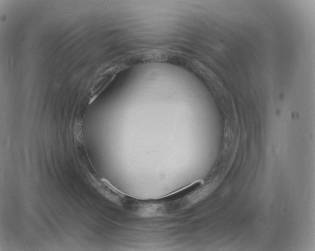 X0000083010096200702231823