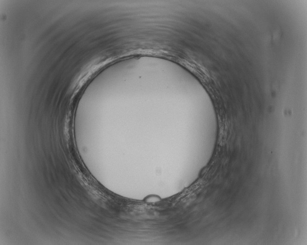 X0000083010098200702231822