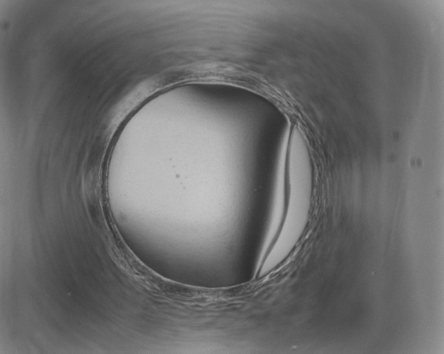 X0000083010099200702231822