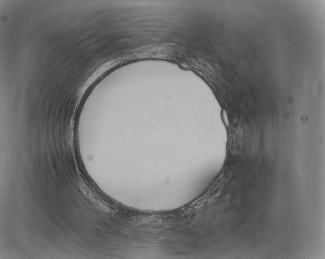 X0000083010100200702231822