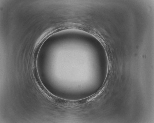 X0000083010101200702231822