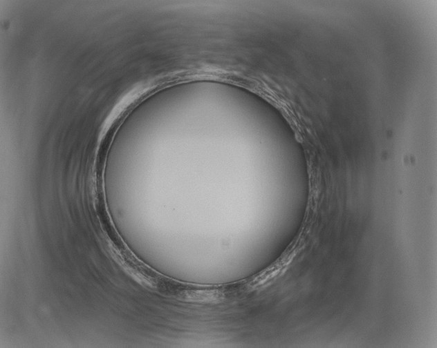 X0000083010102200702231822