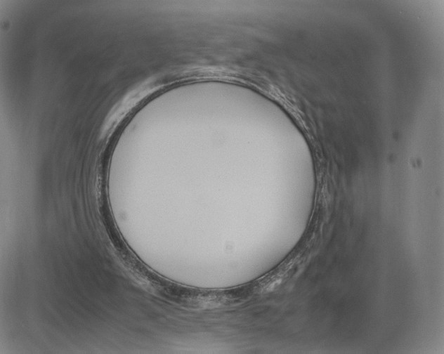 X0000083010103200702231822