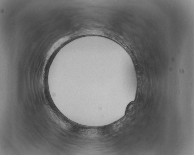 X0000083010104200702231822