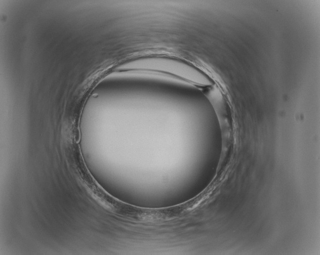 X0000083010105200702231822