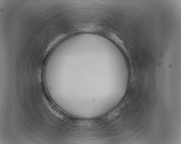 X0000083010106200702231822