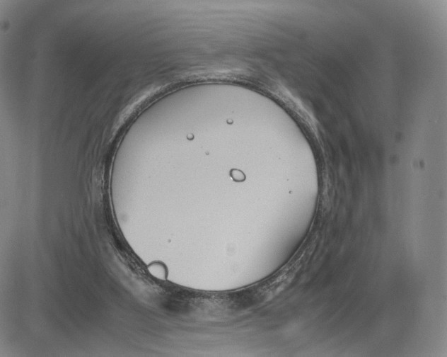 X0000083010107200702231822