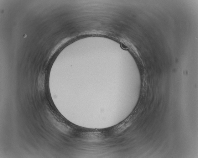 X0000083010108200702231822