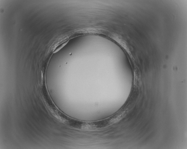 X0000083010109200702231822