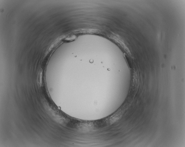 X0000083010110200702231822