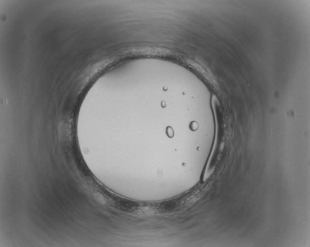 X0000083010111200702231822