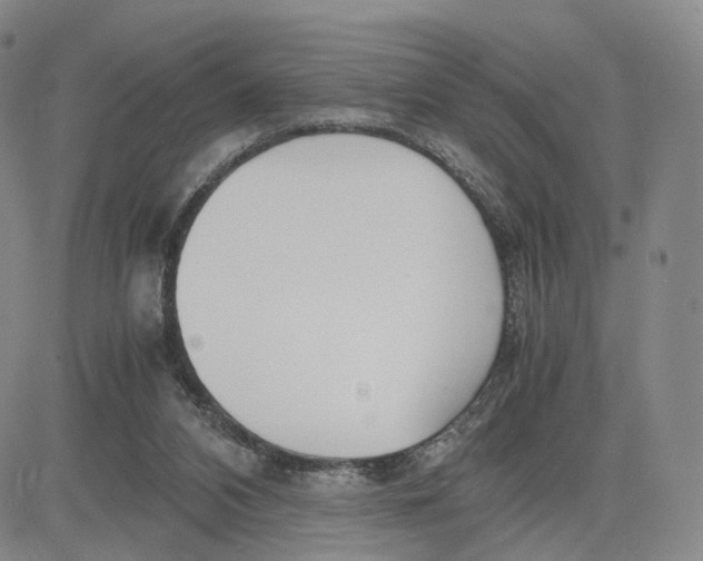 X0000083010112200702231822