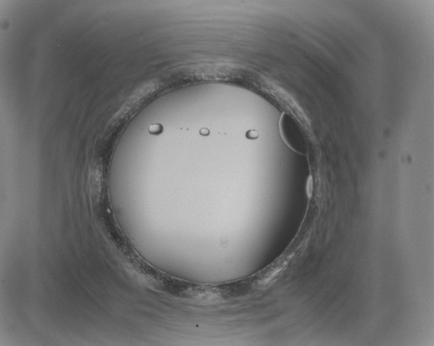 X0000083010113200702231822