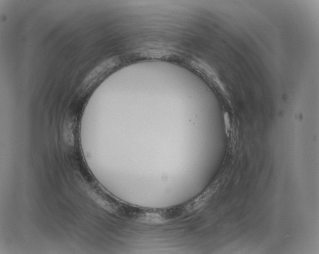 X0000083010114200702231822