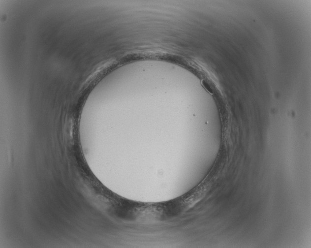 X0000083010115200702231822