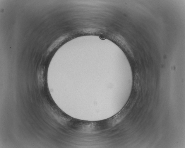 X0000083010116200702231822