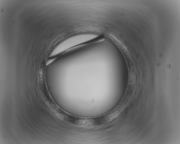 X0000083010117200702231822