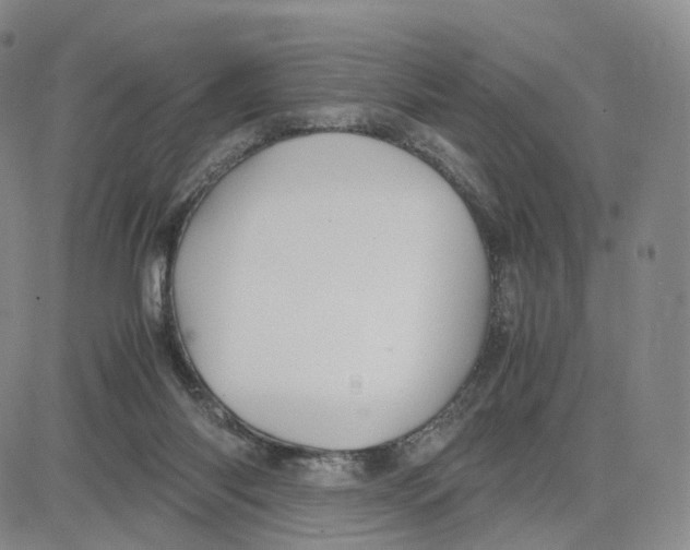 X0000083010118200702231822