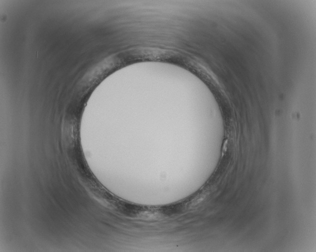 X0000083010119200702231822