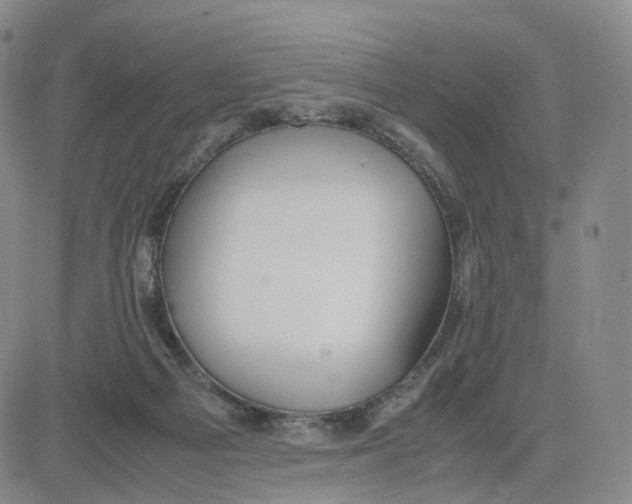 X0000083010121200702231822