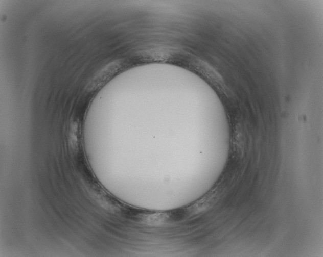 X0000083010122200702231822