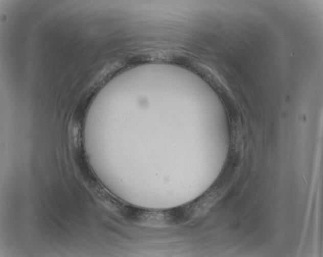 X0000083010123200702231822