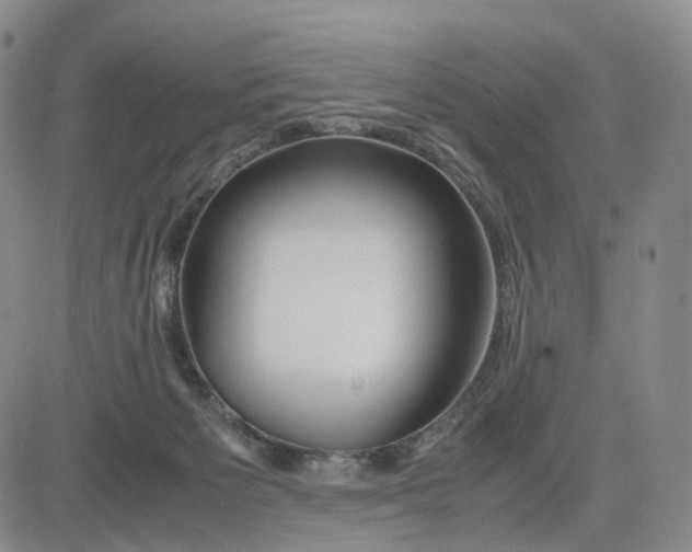 X0000083010125200702231822