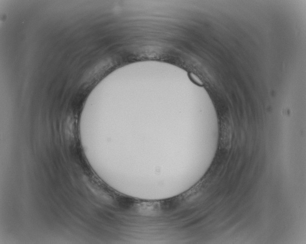 X0000083010126200702231822