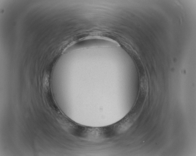 X0000083010127200702231822