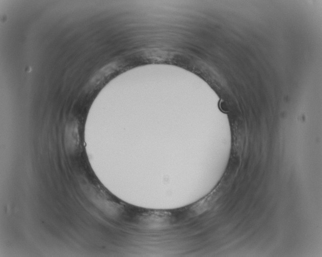 X0000083010128200702231822