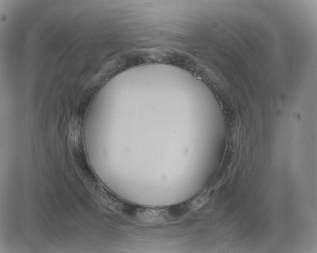 X0000083010129200702231822