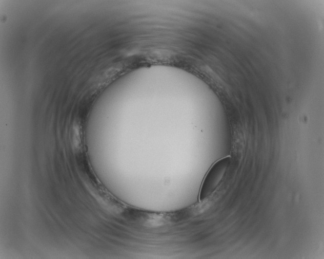 X0000083010130200702231822