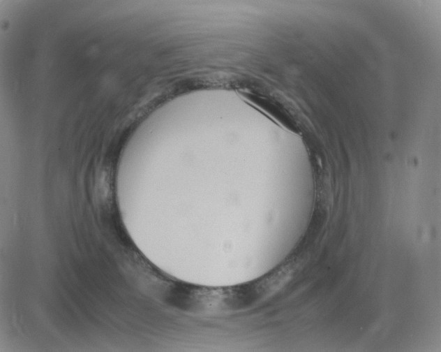 X0000083010131200702231822