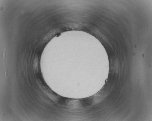 X0000083010132200702231822