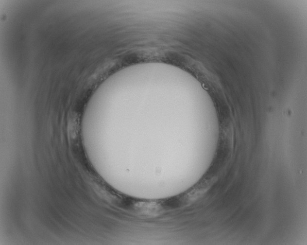 X0000083010133200702231822