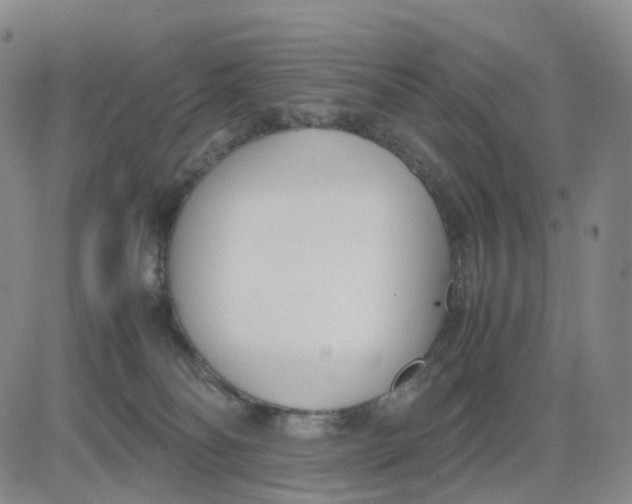 X0000083010134200702231822