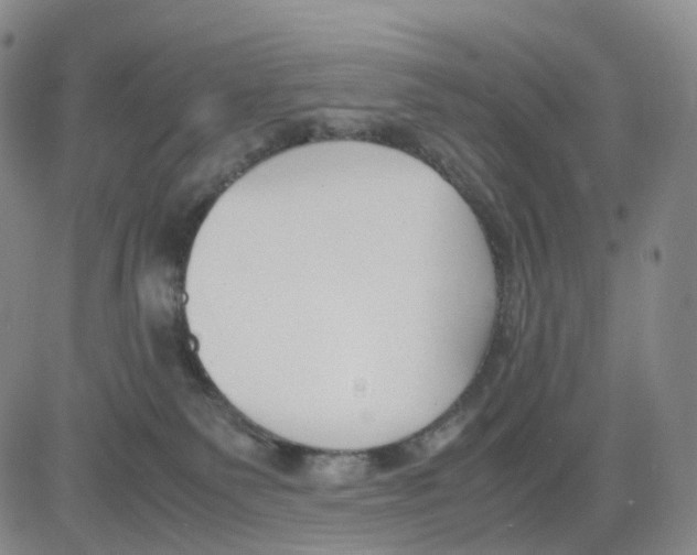 X0000083010135200702231822