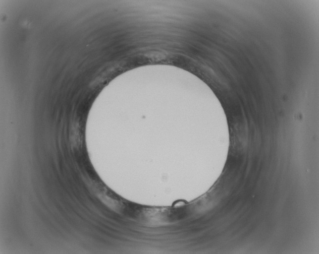 X0000083010136200702231822