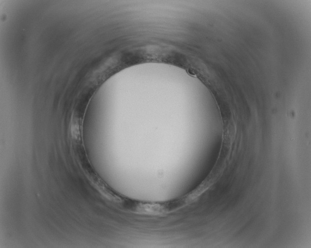 X0000083010137200702231822