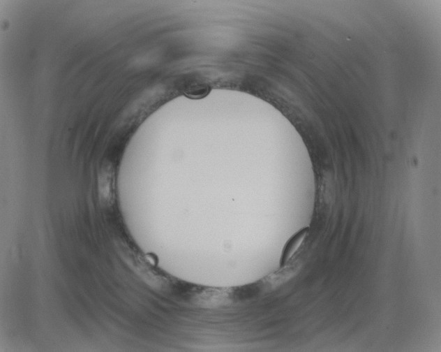 X0000083010138200702231822