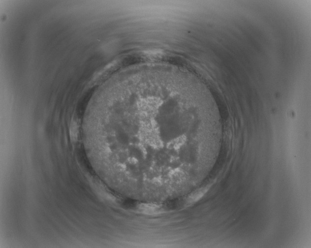 X0000083010139200702231822