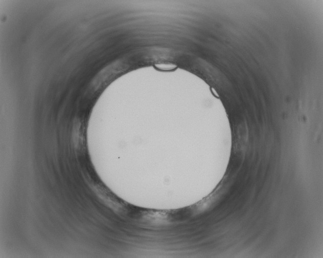 X0000083010140200702231822