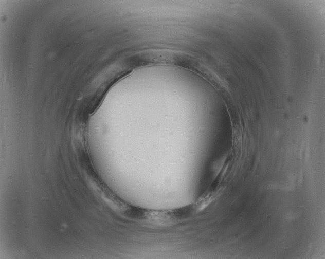 X0000083010141200702231822