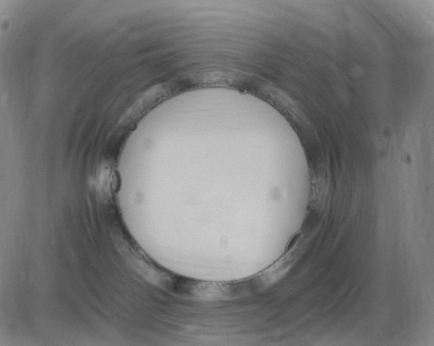 X0000083010142200702231822