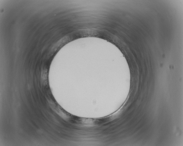 X0000083010144200702231822