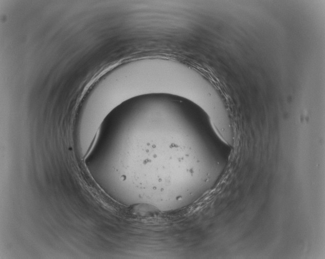 X0000083010146200702231821