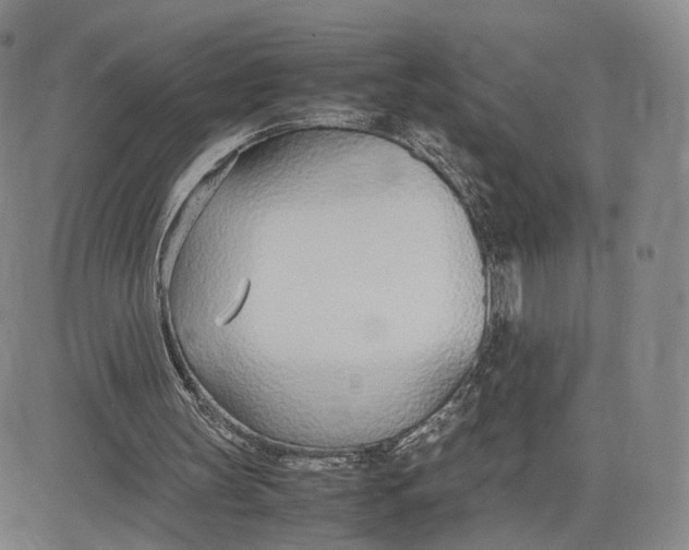 X0000083010147200702231821