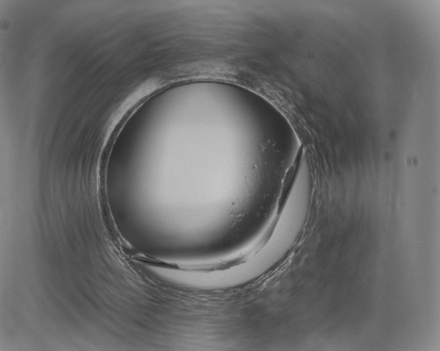 X0000083010148200702231821