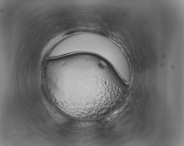 X0000083010149200702231821